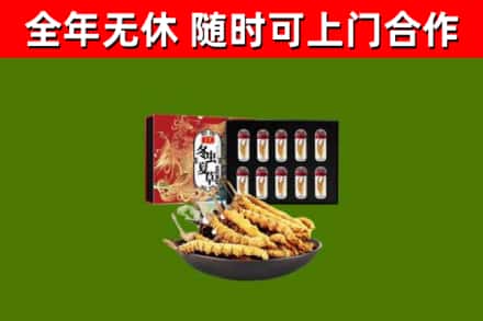 苏州市回收冬虫夏草价格